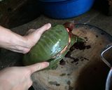 Hình bước làm 1 của món Ba ba chuối đậu