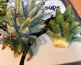 Une image de l'étape 8 de Salade d ananas à l orange et mûres du jardin.