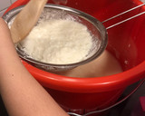 Foto del paso 4 de la receta: Queso fresco/ Queso costeño