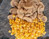 A picture of step 3 of Mushroom,sweetcorn, paneer n capsicum#authors marathon.