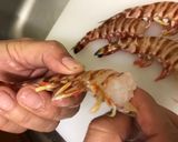 澎湖野生明蝦刺身的食譜步驟3照片