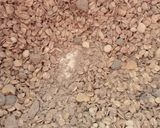 Foto del paso 1 de la receta: Galletitas de granola, chocolate y miel