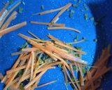 Foto del paso 9 de la receta: Pasta al jengibre con pollo