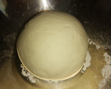 Foto del paso 4 de la receta: Pan Rústico