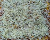 Foto langkah ke 5 dari resep Pizza.
