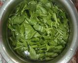 Lehsun  Palak  Ka  Saag  Curry recipe step 1 photo