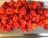 Une image de l'étape 1 de Sauce extra forte aux deux piments,oignons,tomates,gingembre et aromates.
