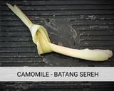 Foto langkah ke 6 dari resep EDAMAME MIXED (TUMIS SERBA KEDELAI).