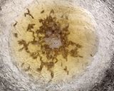 A picture of step 1 of Onion malai sabji.