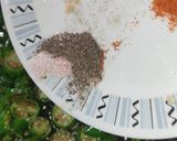 A picture of step 4 of Dahi wali Mirch.