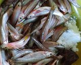 Foto langkah ke 2 dari resep Ikan Seluang Betuup.