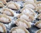 A picture of step 5 of Pan Seared Chinese Dumplings 鍋貼.