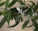 Foto del paso 4 de la receta Lomo con salsa de hierba María Luisa