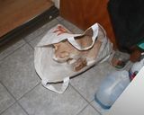 Foto del paso 3 de la receta: Lunes de Willie el rufían