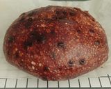 Foto langkah ke 20 dari resep Double Chocolate Sourdough Bread (86%).