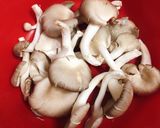 Hình bước làm 2 của món Canh Chua Nấm Bào Ngư Nấu Lá Me