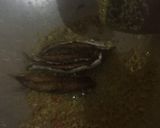 Foto langkah ke 3 dari resep Pesmol Ikan Cue / Ikan Keranjang.