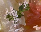 Une image de l'étape 2 de Carpaccio de merlanà la sauce d’été.