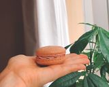 Hình bước làm 8 của món Macaron với kem bơ