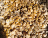 A picture of step 1 of Bean balls.