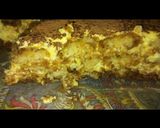 Foto del paso 4 de la receta: Tiramisú