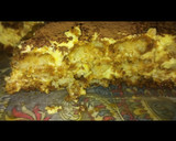 Foto del paso 4 de la receta: Tiramisú