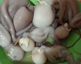 Foto langkah ke 3 dari resep Gulai Gurita Bunting.
