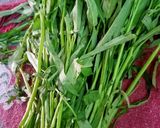 Foto langkah ke 1 dari resep Oseng Kangkung Terasi.