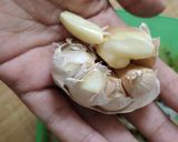 Foto langkah ke 3 dari resep Udang Goreng Mandai.