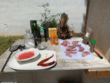 Paella de conejo de la montaña