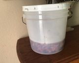 A picture of step 6 of California Farm Red Cabbage Sauerkraut.