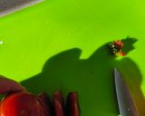Foto del paso 2 de la receta El mejor sazonador del tomate