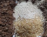 Foto del paso 1 de la receta: Mini Pan Dulce de Algarroba Sin Tacc, Sin Lactosa, Sin Huevo, Sin Harina