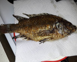 Foto del paso 9 de la receta: Mojarra frita 🐟