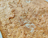 Foto del paso 7 de la receta: Coca de llanda
