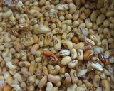 Foto langkah ke 1 dari resep #7 Jukut Mekuah Khas Bali (terong kacang merah).