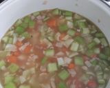 Foto del paso 8 de la receta: Sopa cultivateur de Alexis