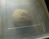 Foto langkah ke 1 dari resep Bakpao Tanpa Mixer.