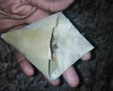 A picture of step 5 of Samosa.