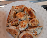Foto del paso 2 de la receta: Gyozas de carne y verdura