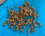 Foto del paso 2 de la receta: Steak tartar