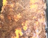 Tejszínes-sajtos csirkemell ragu sütve recept fázis 9 fotója