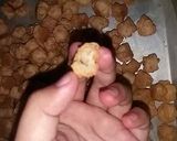 Foto langkah ke 5 dari resep Mini cheese soes.
