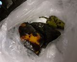 Foto del paso 2 de la receta: Chile de agua relleno de huitlacoche con espejo de crema de pimiento y gusanito de maguey