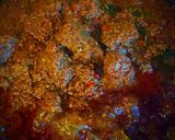 Foto langkah ke 7 dari resep Rendang Padang.