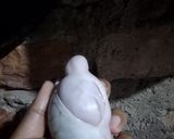 Foto langkah ke 1 dari resep Garang Asem Torpedo Kambing.