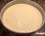 Foto del paso 13 de la receta: Tarta de queso quark y yogur griego
