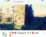 صورة لخطوة 2 من وصفة جبن منزلي للدهن