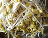 A picture of step 1 of Beansprout with Yellow Chives.