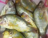 Foto langkah ke 1 dari resep Pindang Serani (Ikan Mujaer).